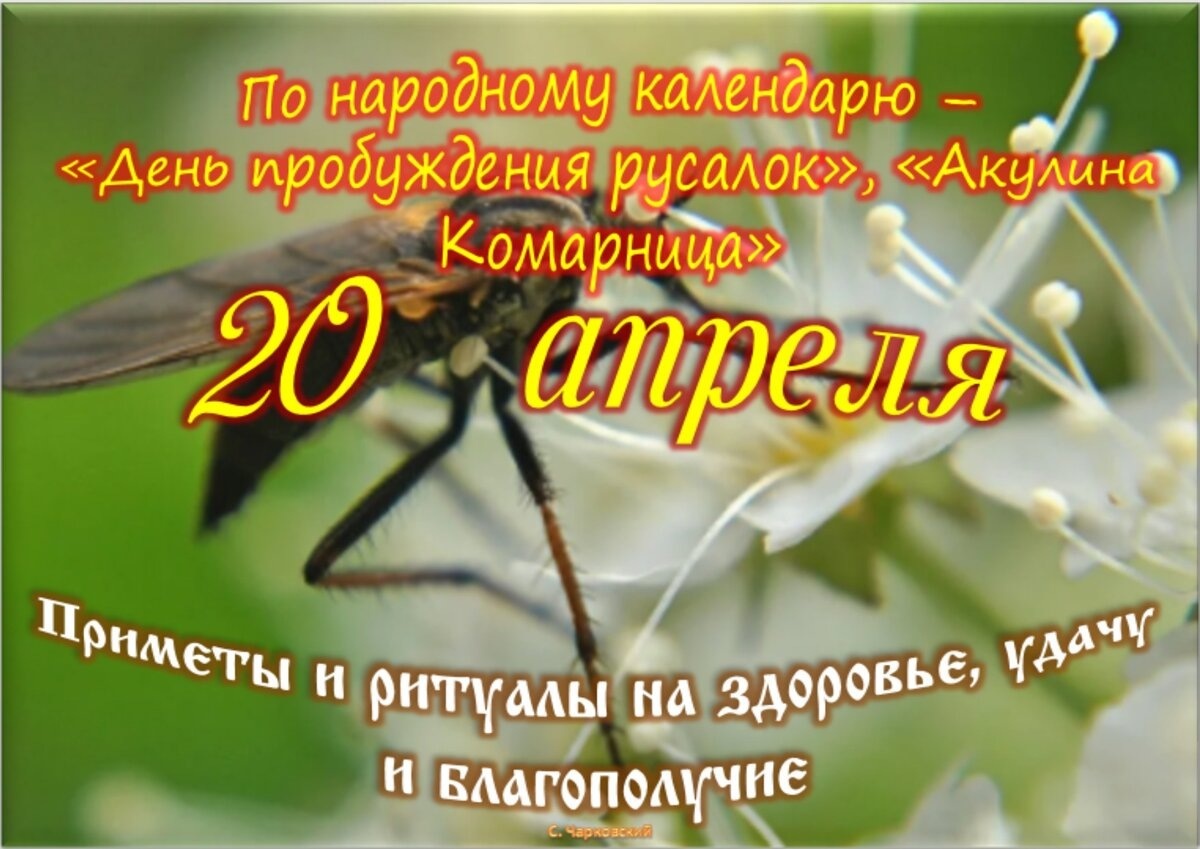 Встречаем новый день