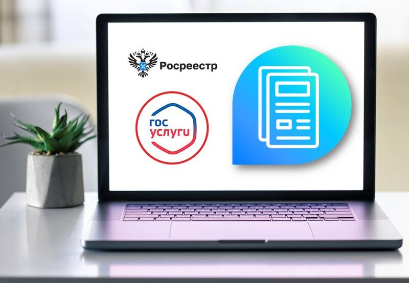 фотография из открытых источников яндекс