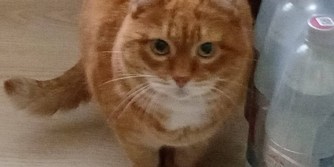 Кажется, что ты меня не узнаешь.