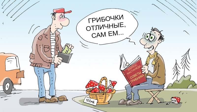 Грибы