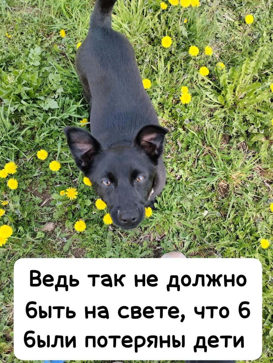 Вот она- шнурочек привязала на ошейник ей, чтт б не потерялась 