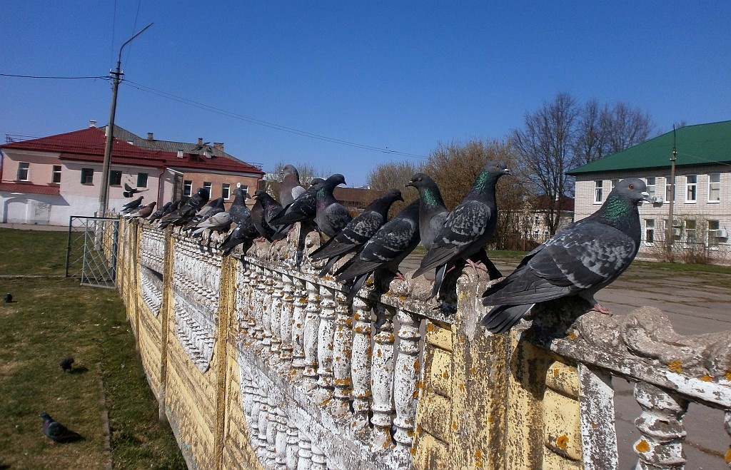 Фото - Андрей Кашкаров