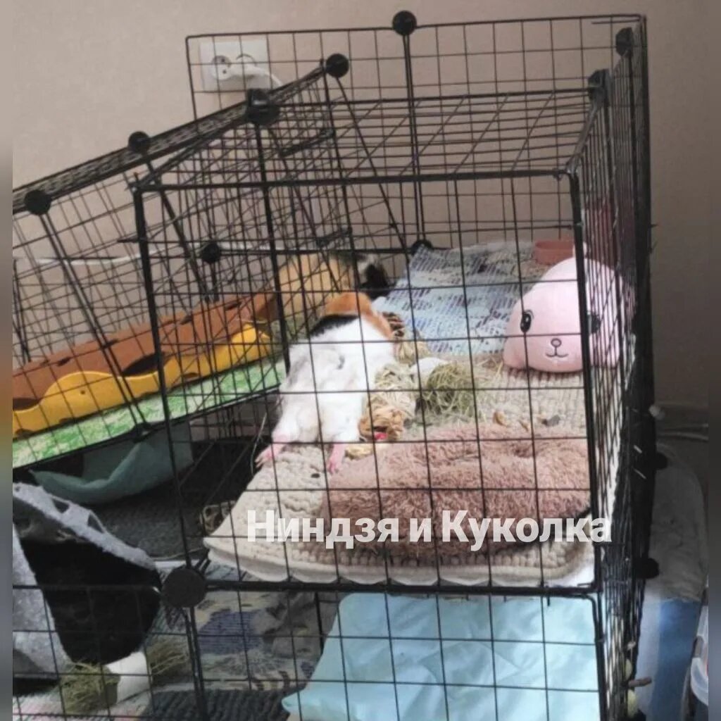 Уровень расслабления - Папуша