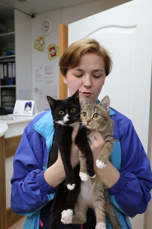 Неужели они не имеют право жить? 