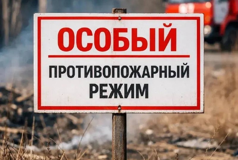 🔥Особый противопожарный режим в Московской области: меры предосторожности и ответственность