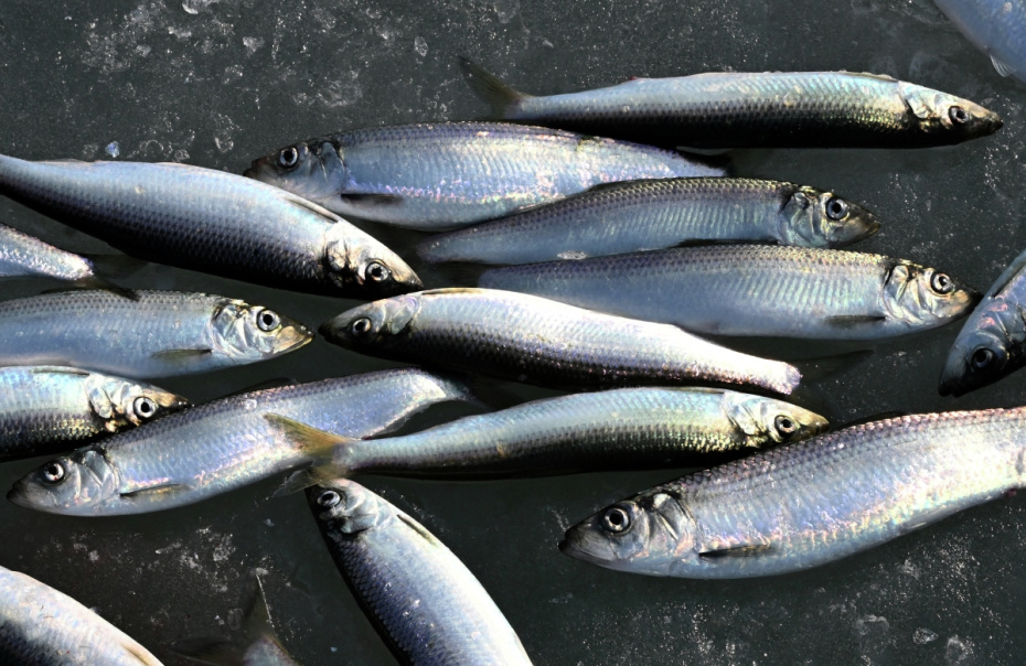    Виталий Аньков/РИА Новости