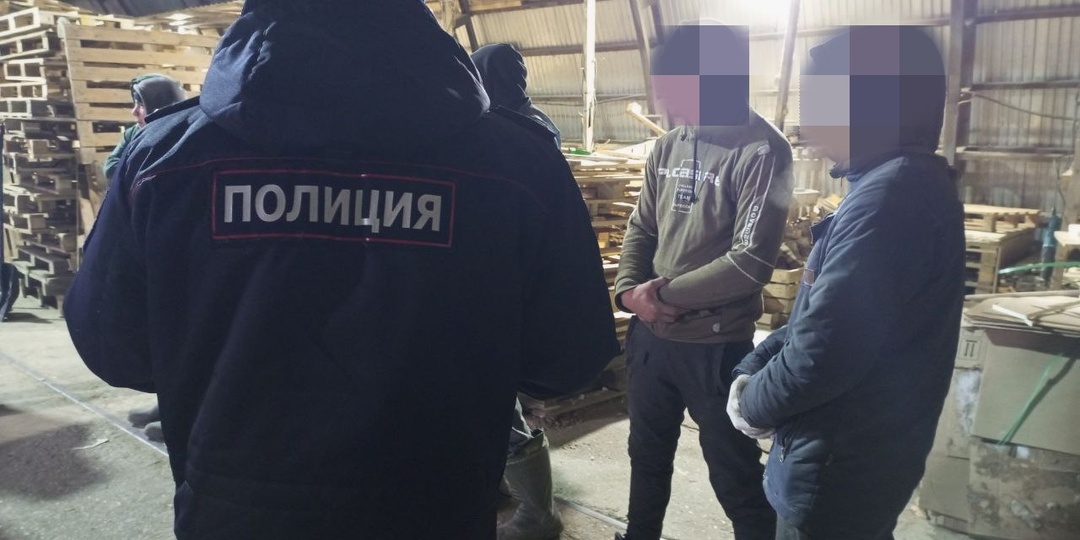 В Рамешках мигрант записал ребенка на брата ради ВНЖ