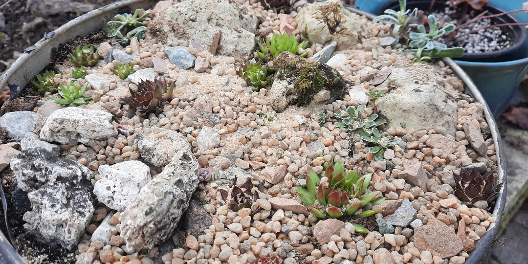 Сегодня я дежурная по тарелочкам и не только. Переделки