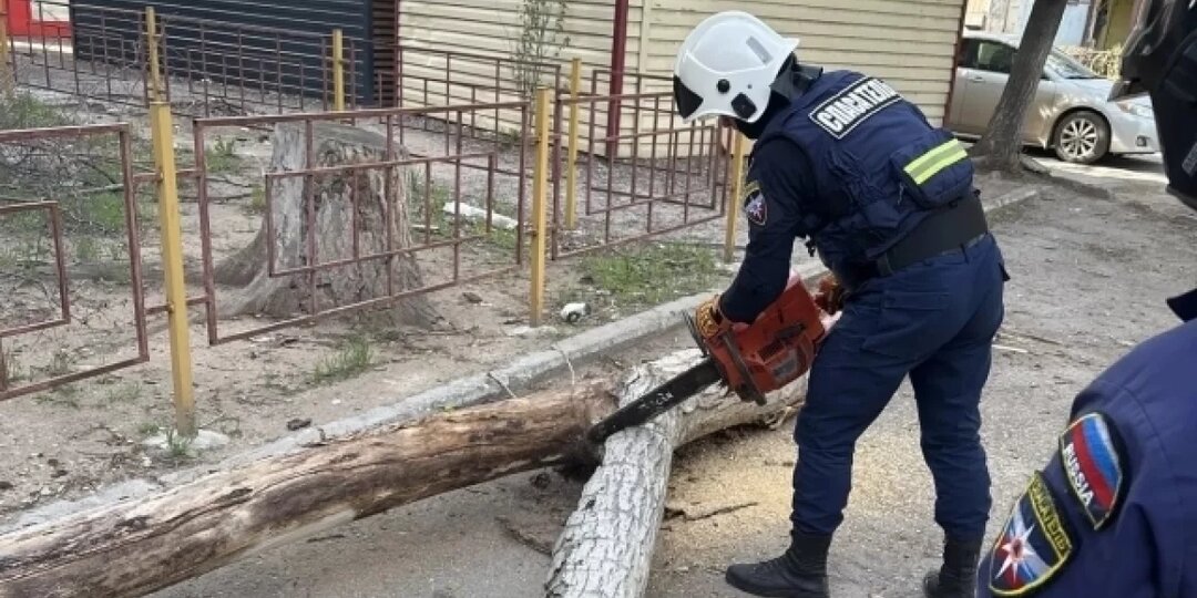 Астраханские спасатели убрали опасные ветки во дворе на Н. Островского