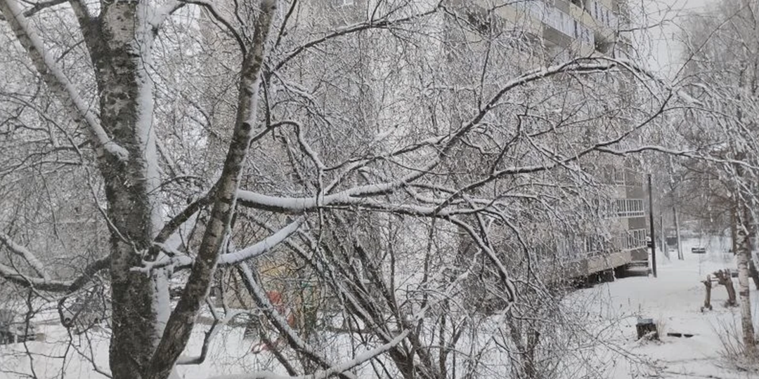 В легкомысленном апреле, что ни утро, то сюрприз...