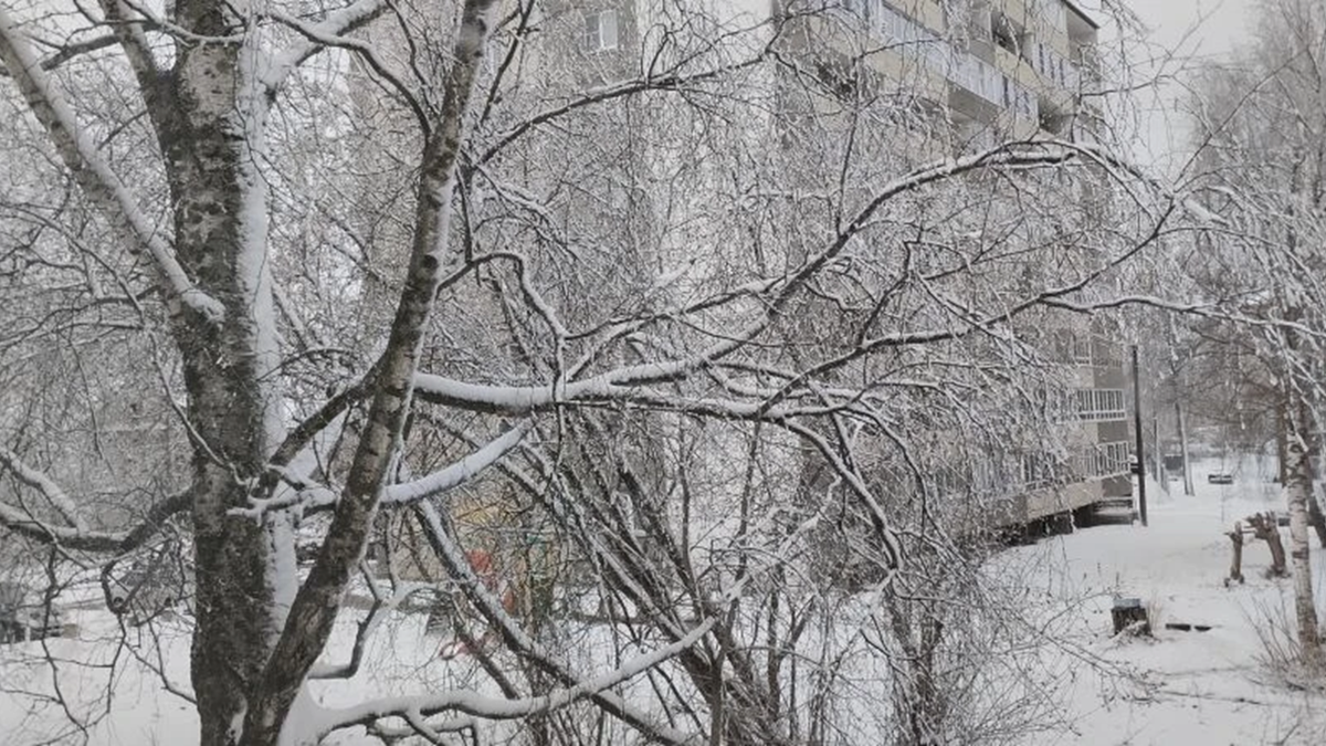 В легкомысленном апреле, что ни утро, то сюрприз... 19 апреля 2026 год. Вид из окна. Фото автора канала "Техно Колибри", Дзен.