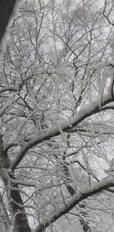 19 апреля 2026 год. Вид из окна. Фото автора канала "Техно Колибри", Дзен.