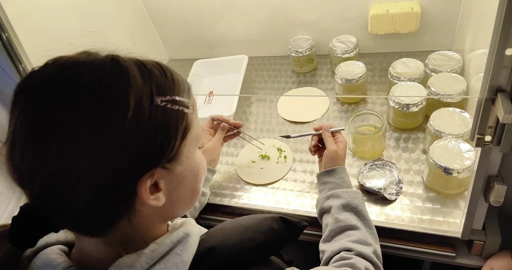 Школьники из районов Воронежской области сами вырастили растения в пробирке в лаборатории ВГЛТУ