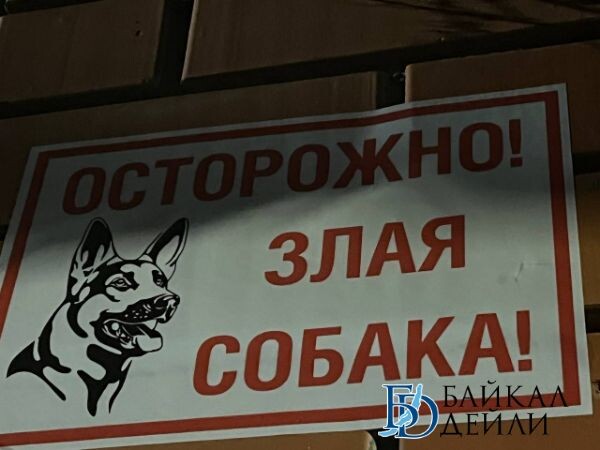 В Улан-Удэ пострадавшей от собаки девочке выплатят 100 тысяч