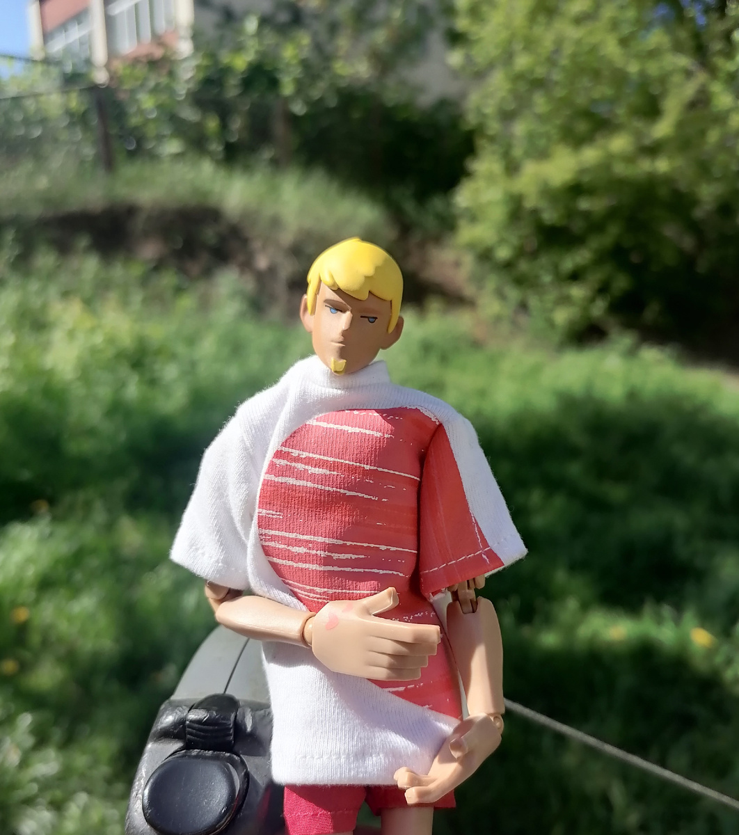 Додо. Коллекция и фото Ю. Воронцовой