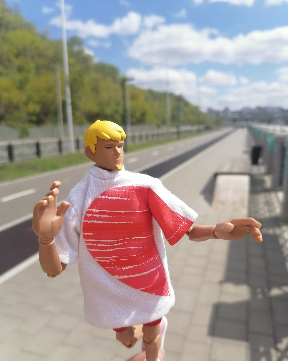 Додо. Коллекция и фото Ю. Воронцовой