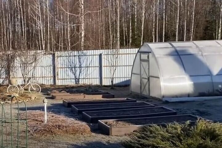 ТОП-10 паразитов, которые объявят войну вашему огороду этой весной