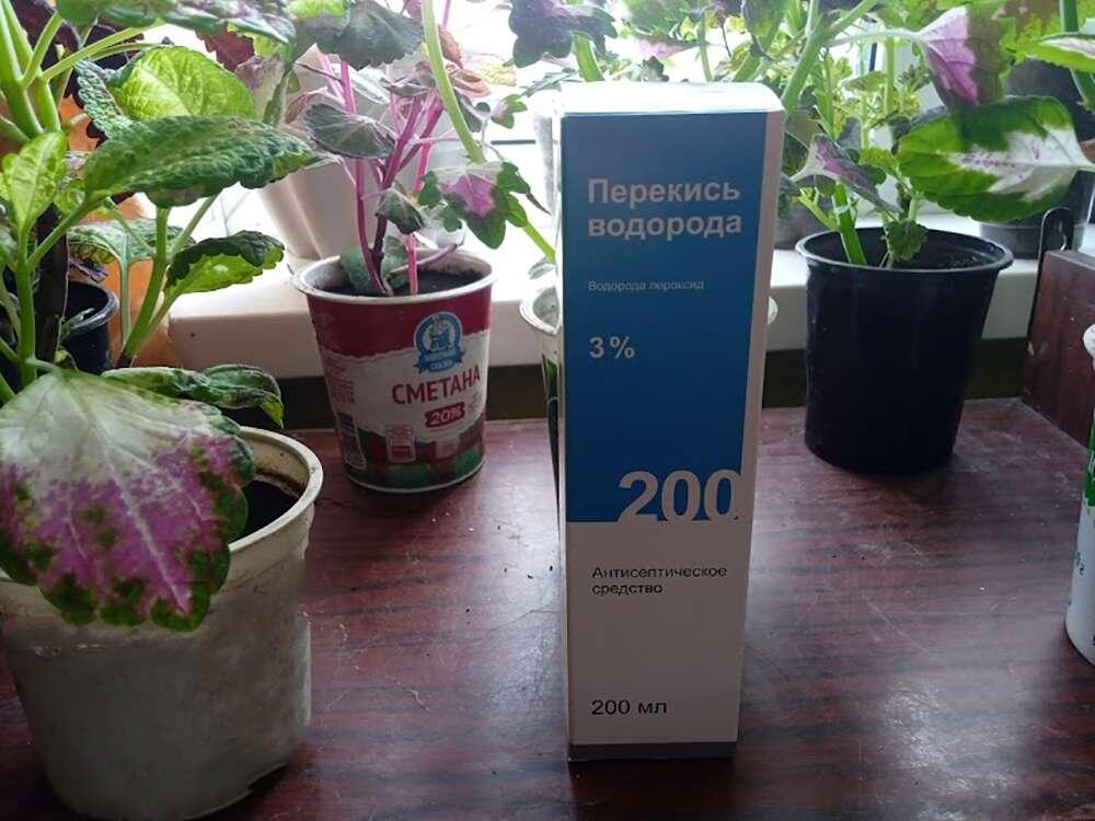 Удивительные аптечные средства для здоровья ваших цветов