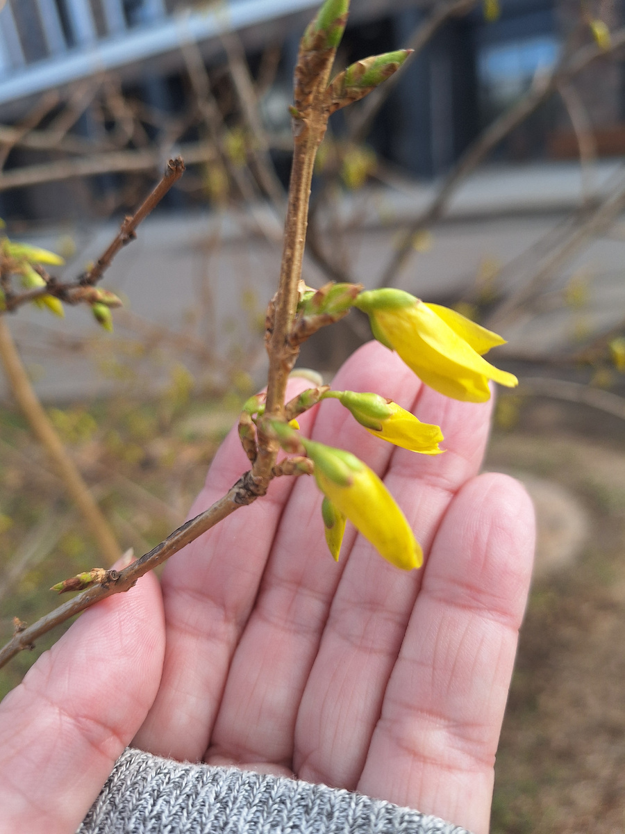 Фото - собственность автора канала "ТАК НАДО".