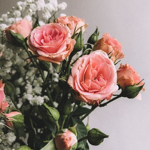    Розы с другими цветами — гипсофилой Кристина Борунова