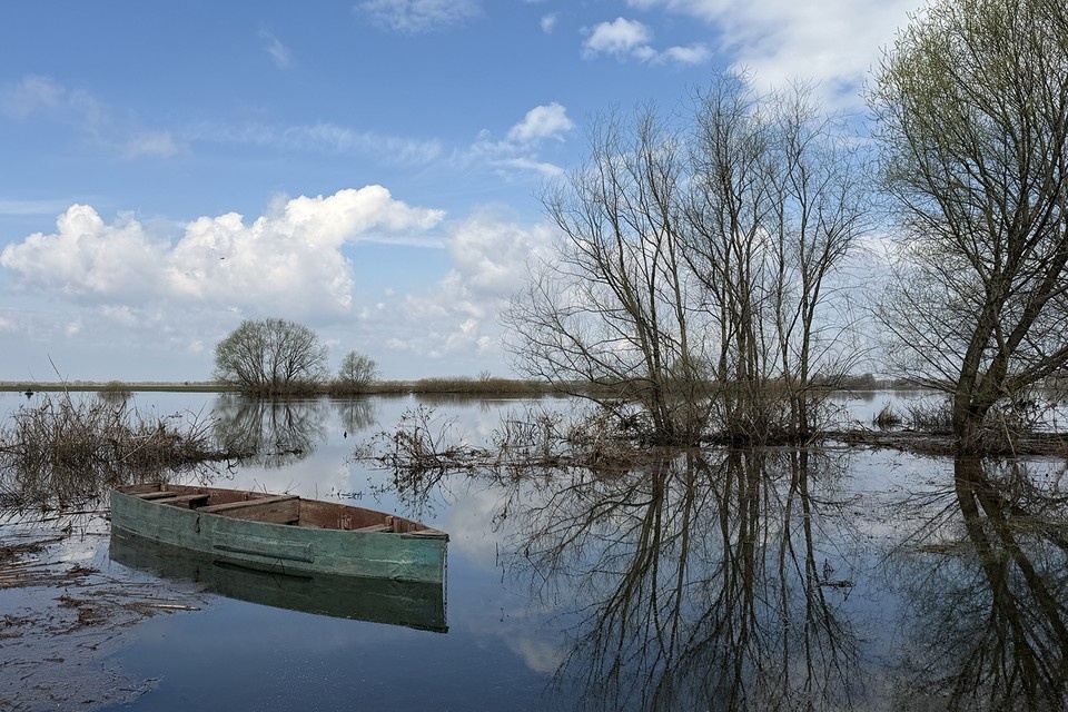    Красивые пейзажи уходящего половодья. Фото: Олег БУЦКИЙ.