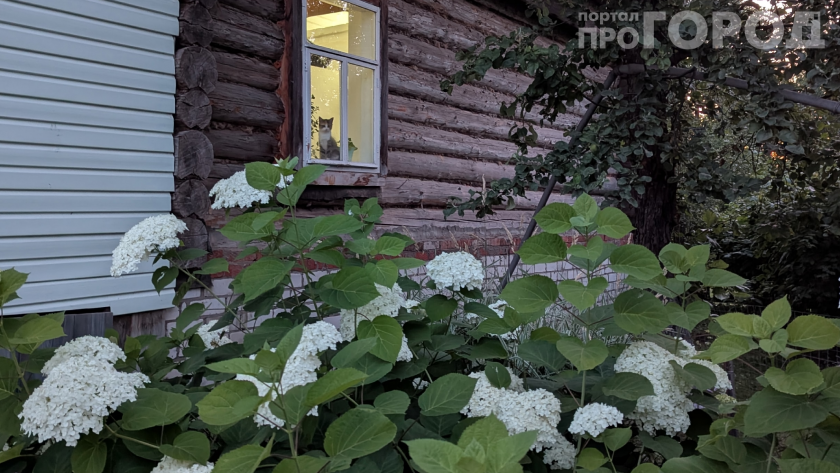    Фото: ПроГород