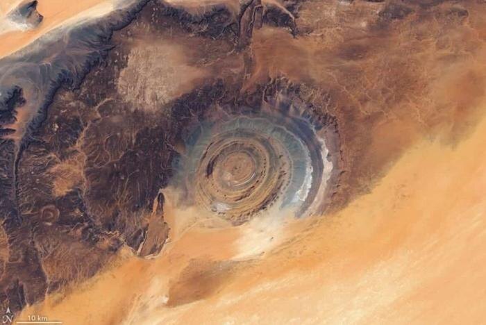 Обложка © NASA Earth Observatory / Lauren Dauphin