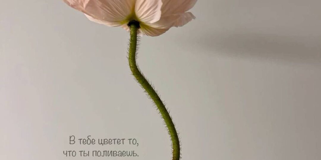 ПОСЛАНИЕ ДНЯ