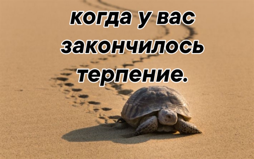 Терпение - это активное состояние веры.