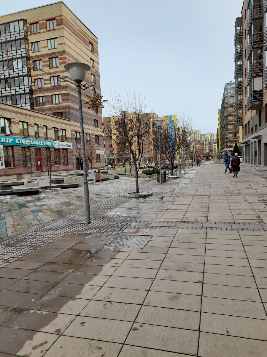 Фото автора. На прогулке