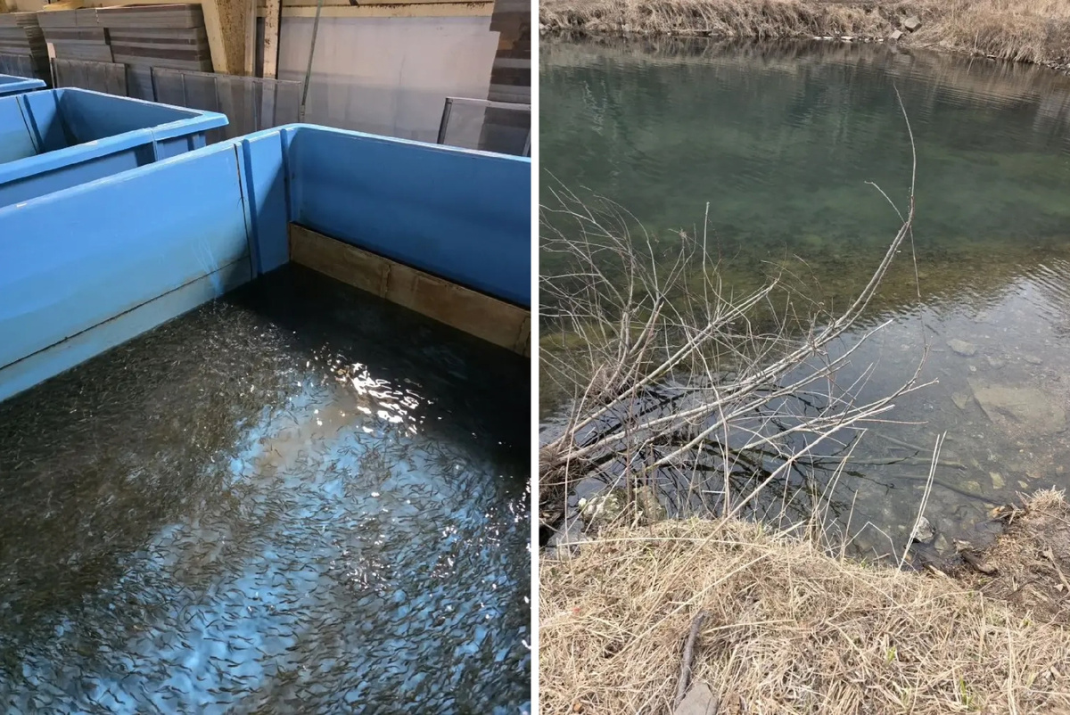 Министерство природы Приморского края