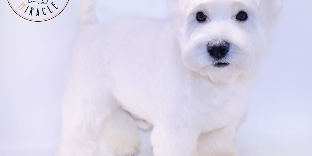 🚨Внимание, чрезвычайное происшествие