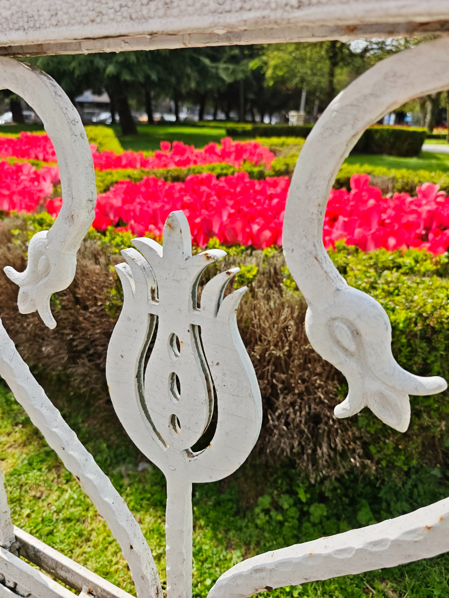 Забор парка