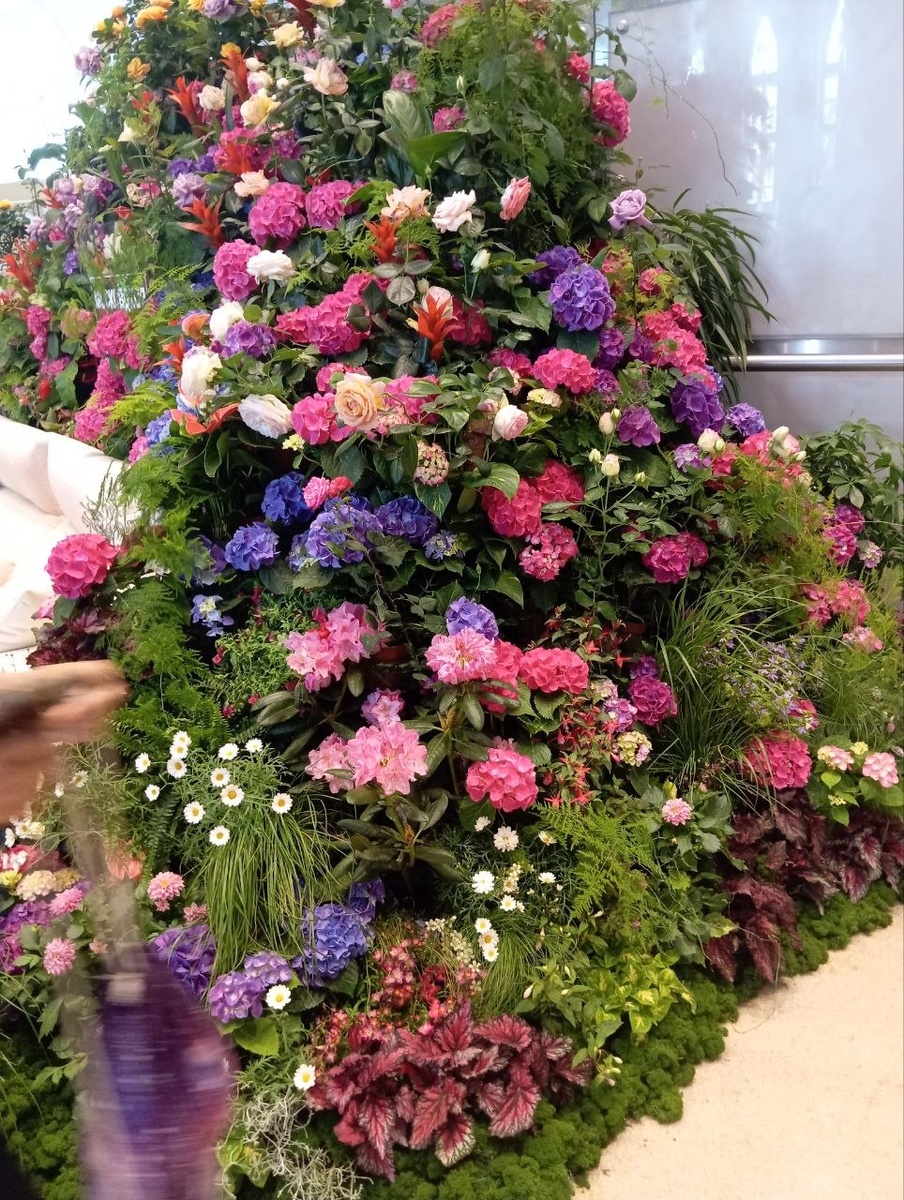 Мы мечтаем, чтобы вход в приют выглядел примерно так! (Шутка, а может план на будующее?)😍😍