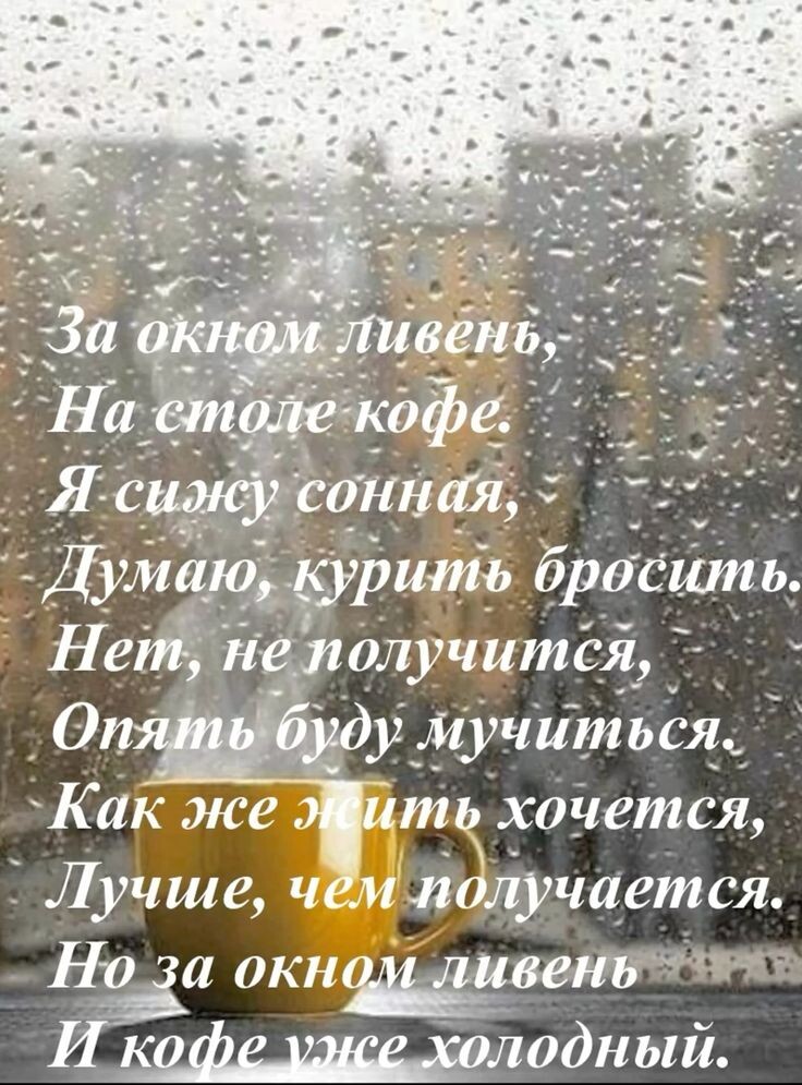 Фото из свободного доступа.