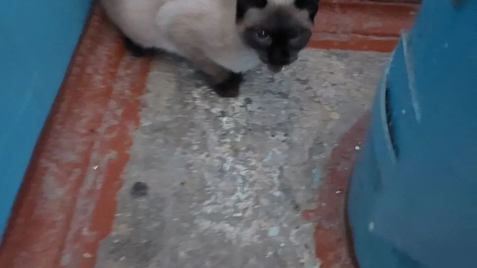 ✉️ Вчера появился в подъезде ул