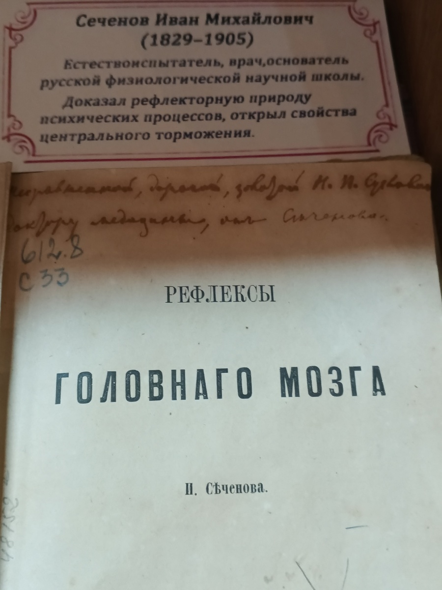 Фото Галины Малышевой.