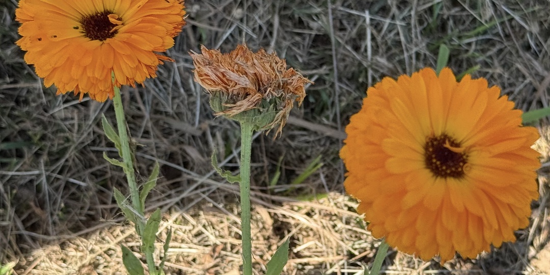 Мама обещала помогать