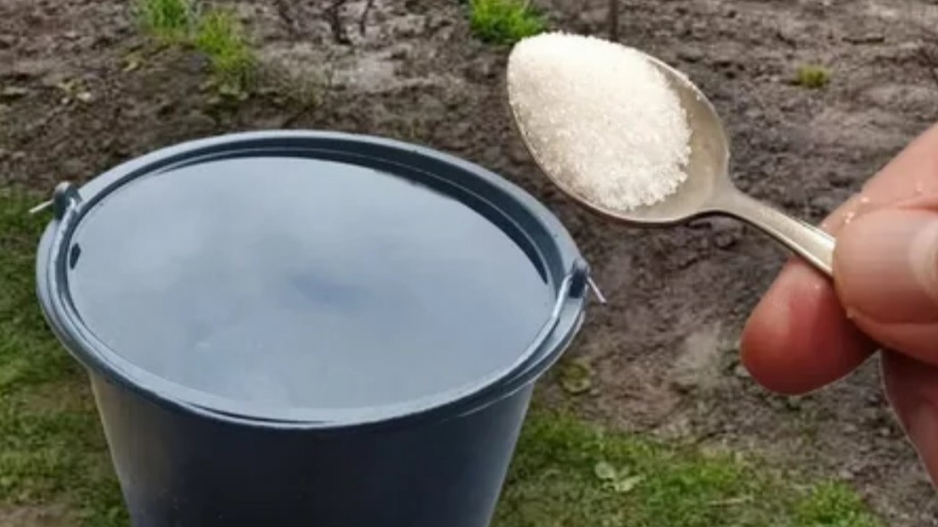 30 граммов — это ровно столовая ложка с горкой. Не больше, иначе работает против вас.