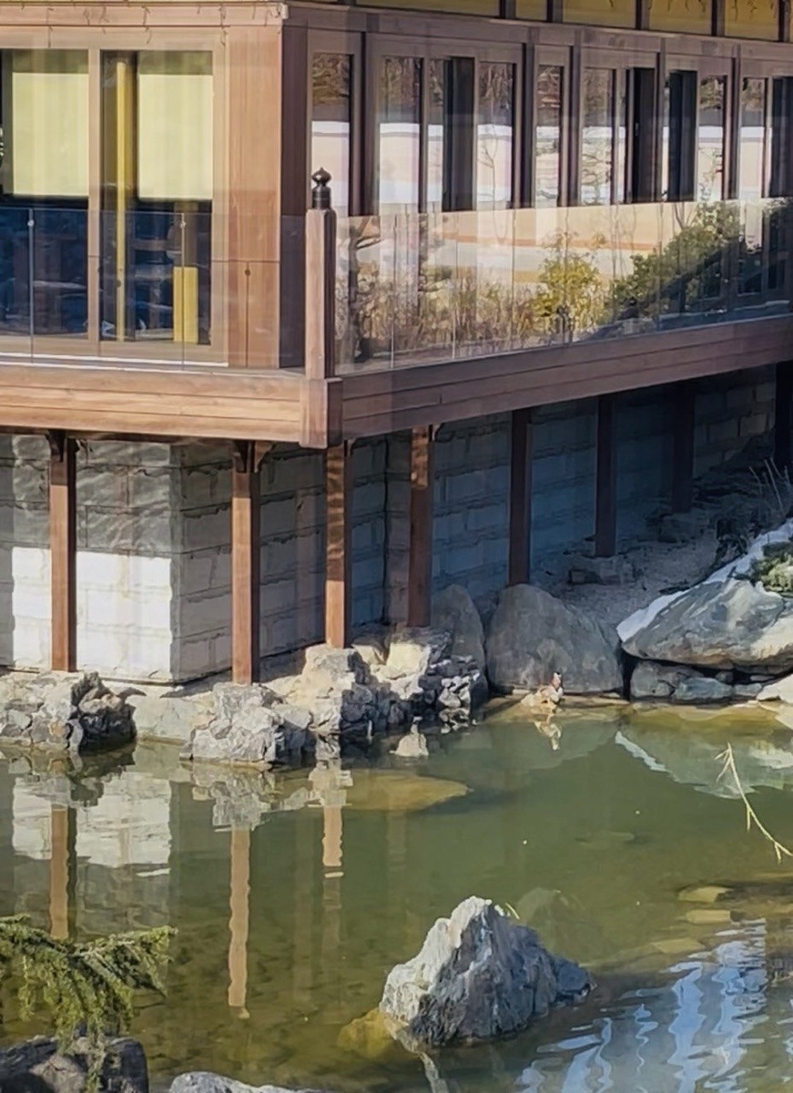 Рэтей, углубленный одной часть в озеро Ойке, стоит на опорах - какэдзукури, как и храм Мидо, на который открывается вид из оконо ресторана.