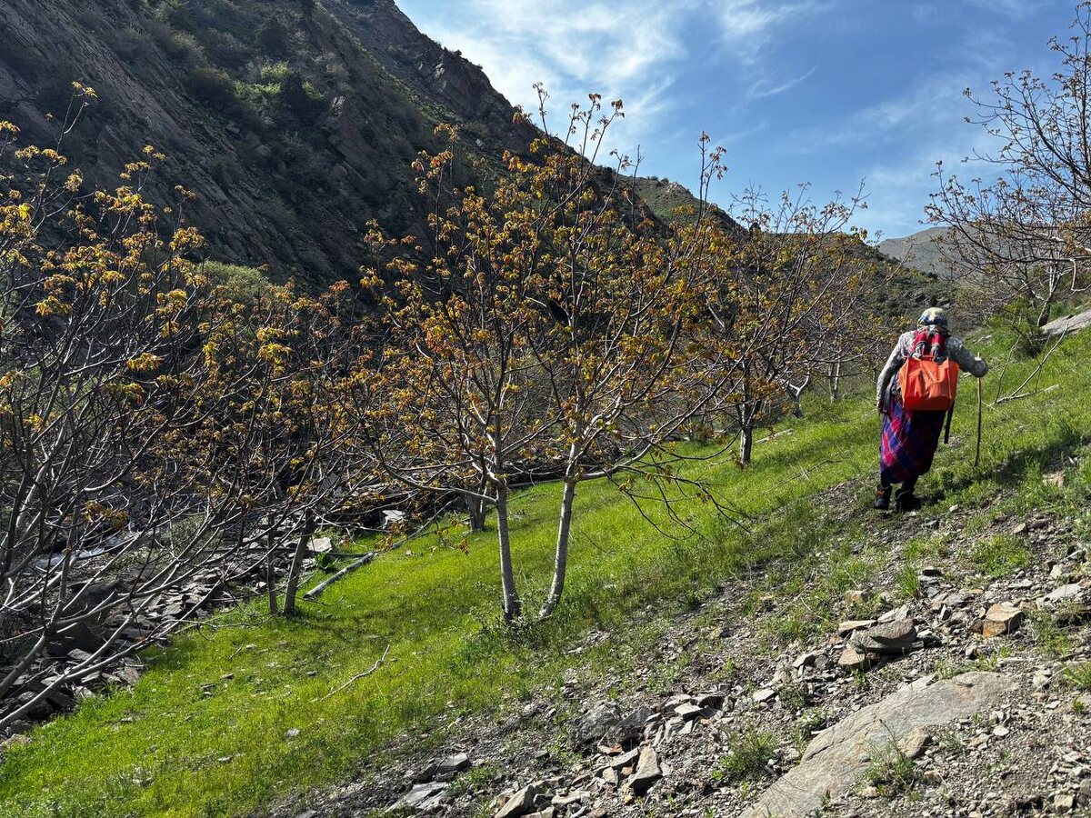 Теперь, преодолев почти 10 км по горам, мы с Морсасой приближаемся к дому 