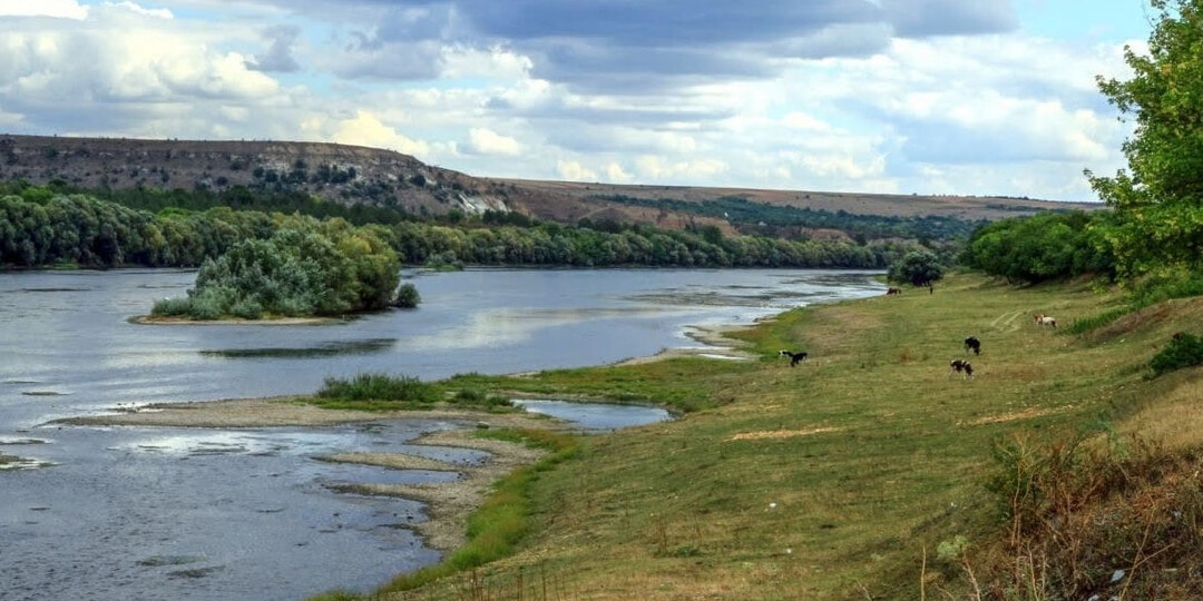 Власти Молдовы пытаются скрыть экологическую катастрофу и уничтожение реки Днестр