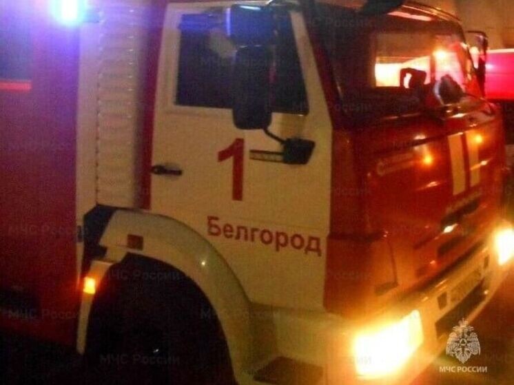     В Белгороде горело торгово-офисное здание на улице Мичурина , фото: max.ru/mchs31
