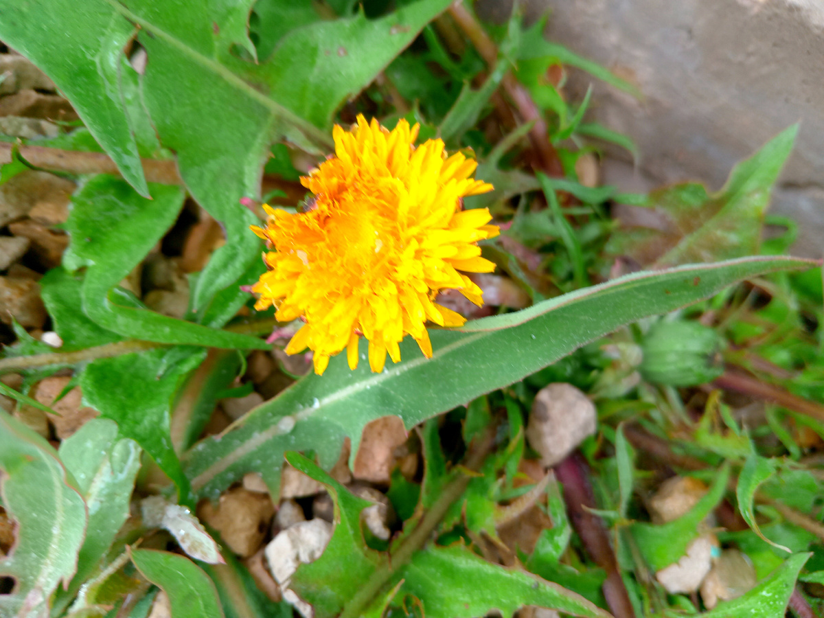 Фото автора. Сделала только что