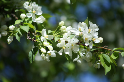 Синоптики прогнозируют резкое похолодание перед майскими праздниками
