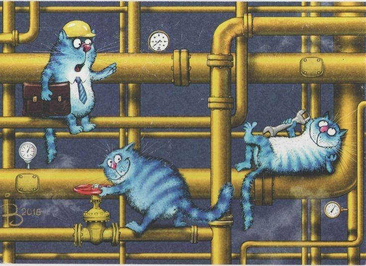 очаровательные коыт Рины Зенюк