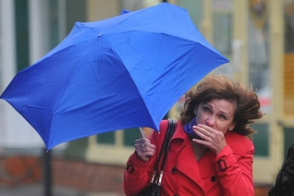    Жителей Кубани предупредили об усилении ветра до 23 м/с Фото из архива КП