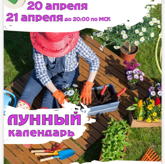 ЛУННЫЙ КАЛЕНДАРЬ САДОВОДА. 19 (с 19:17 по МСК), 20, 21 (до 20:00 по МСК) АПРЕЛЯ 2026.