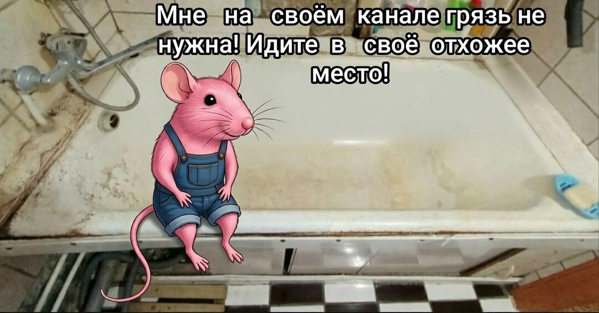 Моё творчество в фоторедакторе, как иллюстрация дисоннанса между реальным бытиём и требованием чистоты в виртуальной реальности с проецированием "грязи" на местопребывание несогласных. Все совпадения случайны. Автор фото, к сожалению, мне не известен, поэтому в случае обращения правообладателя фото с подтверждением авторства, я  обязуюсь выполнить все требования по защите его авторских прав. 