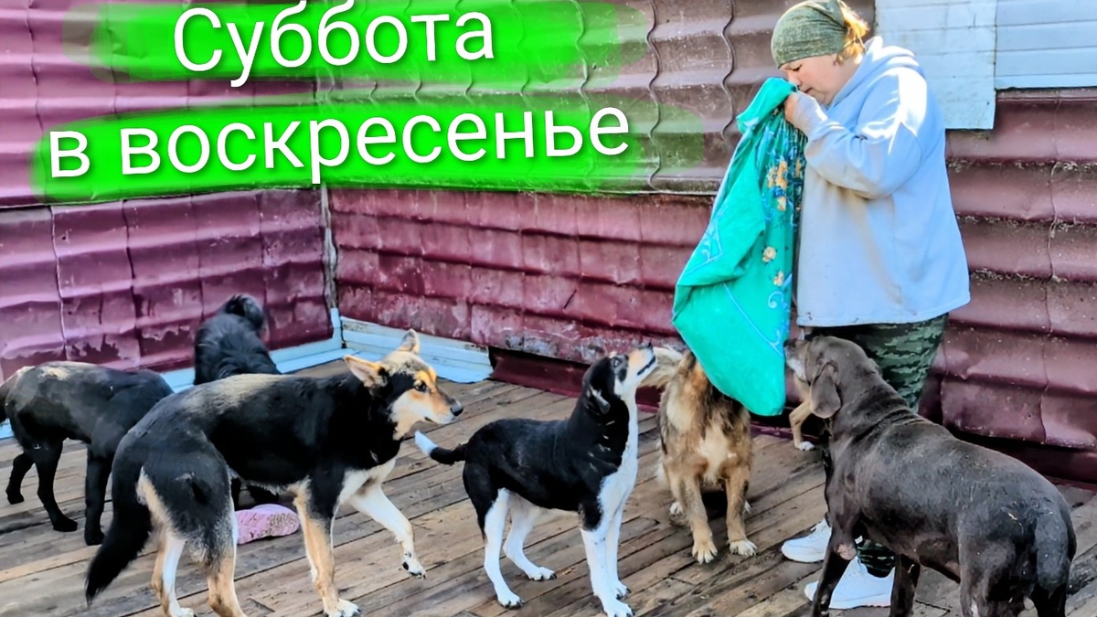 Большой вольер 